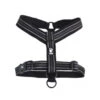 Hurtta Y Tuig (padded) 2 Hurtta Y Tuig (padded) -Hondenbenodigdheden product hurtta padded y harness 55 cm none 4 1459778853 28054