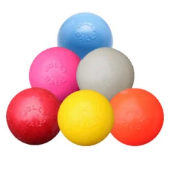 Jolly Bounce-n-Play 25 Jolly Bounce-n-Play -Hondenbenodigdheden product jolly bounce n play none 4 1471873553 76690