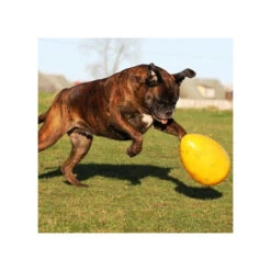 Jolly Egg 20 Jolly Egg -Hondenbenodigdheden product jolly egg none 4 1496839893 86965