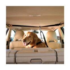 Kurgo Auto Leash - Zip Line Combo -Hondenbenodigdheden product kurgo auto zip line none 4 1476447681 78835