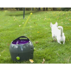 PetSafe Ball Launcher 10 PetSafe Ball Launcher -Hondenbenodigdheden product petsafe ball launcher none 4 1472637635 77137