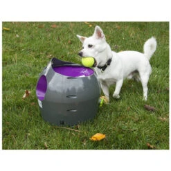 PetSafe Ball Launcher 9 PetSafe Ball Launcher -Hondenbenodigdheden product petsafe ball launcher none 4 1472637636 77140