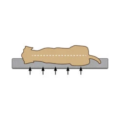 Beeztees Orthopedische Hondenkussen Zira 21 Beeztees Orthopedische Hondenkussen Zira -Hondenbenodigdheden rT80hvdY5h1U8brY2a0OirJ739Ia6x metaQmVlenRlZXMtTWVtb3J5LUZvYW0tVW1hLUhvbmRlbm1hbmQtb3J0aG9wZWRpc2NoLTIuanBn