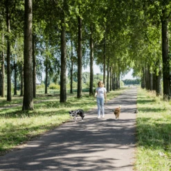 Rebel Petz Verstelbare Duo Riem -Hondenbenodigdheden rebel petz verstelbare duo riem 208532 2000 none