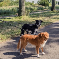 Rebel Petz Verstelbare Duo Riem -Hondenbenodigdheden rebel petz verstelbare duo riem 208541 2000 none