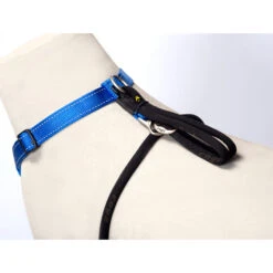 Rogz Beltz Utility Stop Pull Hondentuig 21 Rogz Beltz Utility Stop Pull Hondentuig -Hondenbenodigdheden rogz beltz utility stop pull hondentuig 220236 2000 none