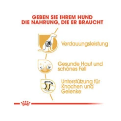 Royal Canin German Shepherd Adult - Hondenvoer 29 Royal Canin German Shepherd Adult - Hondenvoer -Hondenbenodigdheden royal canin german shepherd adult hundefutter 1