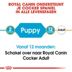 Royal Canin Cocker Puppy - Hondenvoer 17 Royal Canin Cocker Puppy - Hondenvoer -Hondenbenodigdheden royal canin cocker puppy hondenvoer 138205 1000 none