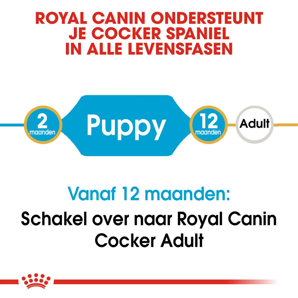 Royal Canin Cocker Puppy - Hondenvoer 8 Royal Canin Cocker Puppy - Hondenvoer - Afbeelding 6