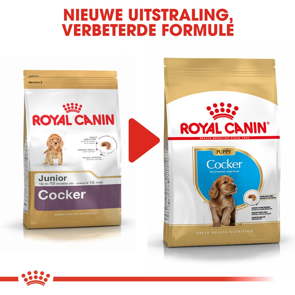 Royal Canin Cocker Puppy - Hondenvoer 9 Royal Canin Cocker Puppy - Hondenvoer - Afbeelding 7