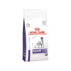 Royal Canin Dental Hond -Hondenbenodigdheden royal canin dental hond 177151 0500 none