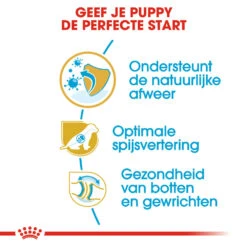 Royal Canin German Shepherd Puppy- Hondenvoer 18 Royal Canin German Shepherd Puppy- Hondenvoer -Hondenbenodigdheden royal canin german shepherd puppy hondenvoer 138835 1000 none