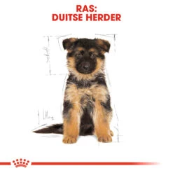 Royal Canin German Shepherd Puppy- Hondenvoer 20 Royal Canin German Shepherd Puppy- Hondenvoer -Hondenbenodigdheden royal canin german shepherd puppy hondenvoer 138844 1000 none