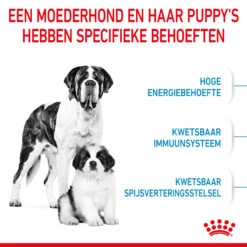 Royal Canin Giant Starter Mother & Babydog - Hondenvoer 15 Royal Canin Giant Starter Mother & Babydog - Hondenvoer -Hondenbenodigdheden royal canin giant starter mother babydog hondenvoer 206702 2000 none