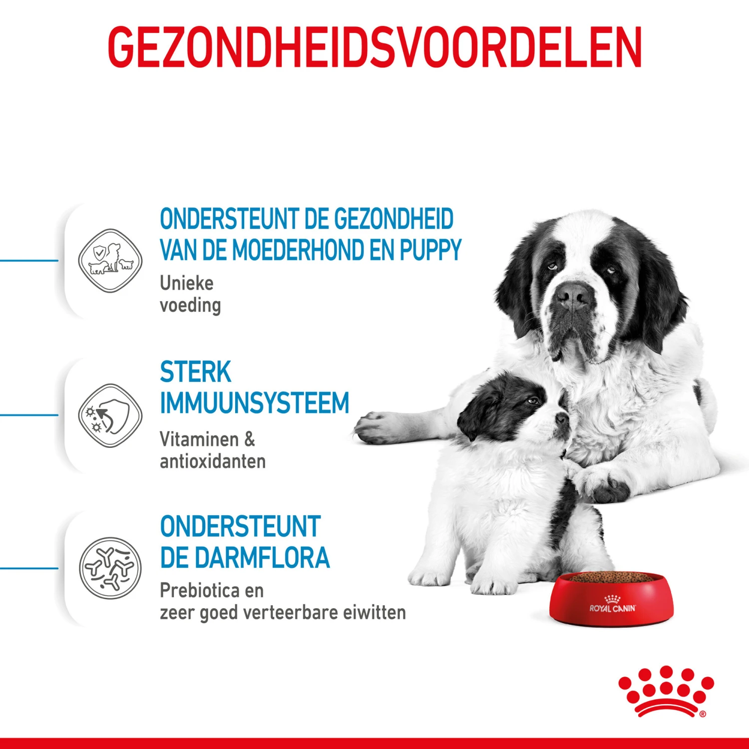 Royal Canin Giant Starter Mother & Babydog - Hondenvoer 7 Royal Canin Giant Starter Mother & Babydog - Hondenvoer - Afbeelding 5