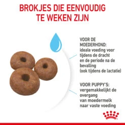 Royal Canin Giant Starter Mother & Babydog - Hondenvoer 17 Royal Canin Giant Starter Mother & Babydog - Hondenvoer -Hondenbenodigdheden royal canin giant starter mother babydog hondenvoer 206708 2000 none