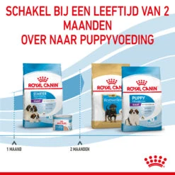 Royal Canin Giant Starter Mother & Babydog - Hondenvoer 18 Royal Canin Giant Starter Mother & Babydog - Hondenvoer -Hondenbenodigdheden royal canin giant starter mother babydog hondenvoer 206711 2000 none