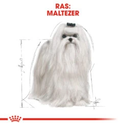 Royal Canin Maltese Adult - Hondenvoer -Hondenbenodigdheden royal canin maltese adult hondenvoer 139576 1000 none