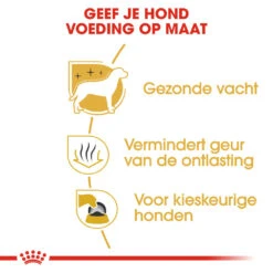 Royal Canin Maltese Adult - Hondenvoer -Hondenbenodigdheden royal canin maltese adult hondenvoer 139594 1000 none