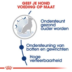 Royal Canin Maxi Ageing 8+ - Hondenvoer 17 Royal Canin Maxi Ageing 8+ - Hondenvoer -Hondenbenodigdheden royal canin maxi ageing 8 hondenvoer 128711 1000 none