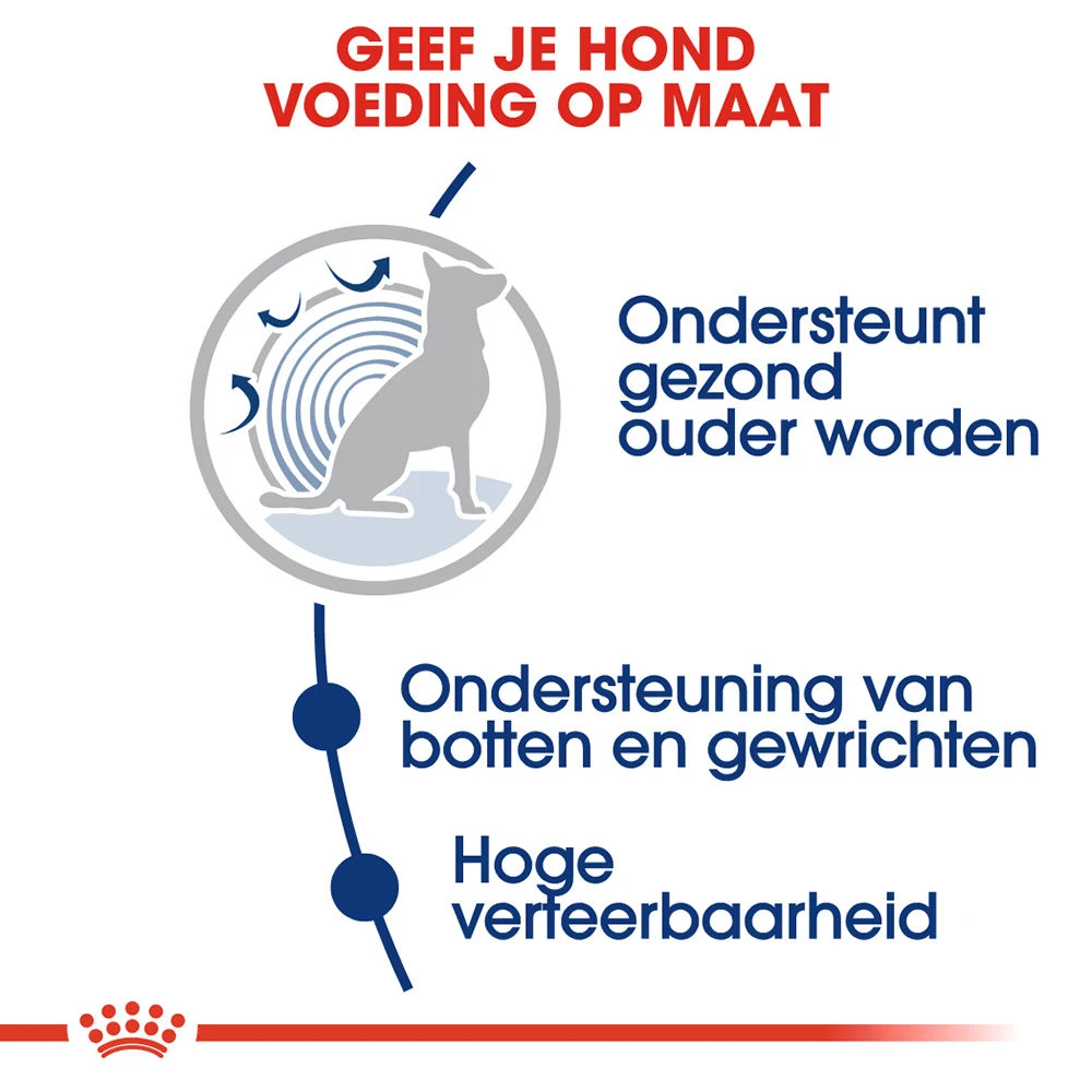 Royal Canin Maxi Ageing 8+ - Hondenvoer 8 Royal Canin Maxi Ageing 8+ - Hondenvoer - Afbeelding 6