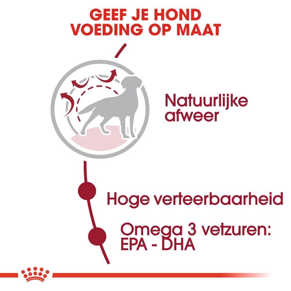 Royal Canin Medium Adult - Hondenvoer 8 Royal Canin Medium Adult - Hondenvoer - Afbeelding 6
