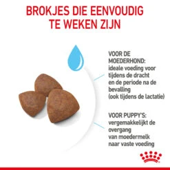 Royal Canin Medium Starter Mother & Babydog - Hondenvoer 19 Royal Canin Medium Starter Mother & Babydog - Hondenvoer -Hondenbenodigdheden royal canin medium starter mother babydog hondenvoer 206912 2000 none