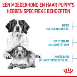 Royal Canin Medium Starter Mother & Babydog - Hondenvoer 17 Royal Canin Medium Starter Mother & Babydog - Hondenvoer -Hondenbenodigdheden royal canin medium starter mother babydog hondenvoer 206918 2000 none