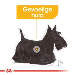 Royal Canin Dermacomfort Mini - Hondenvoer -Hondenbenodigdheden royal canin mini dermacomfort hondenvoer 132983 1000 none