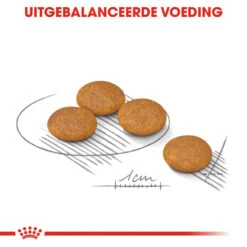 Royal Canin Dermacomfort Mini - Hondenvoer -Hondenbenodigdheden royal canin mini dermacomfort hondenvoer 133001 1000 none