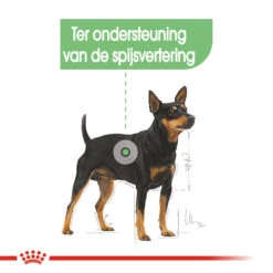 Royal Canin Mini Digestive Care - Hondenvoer 20 Royal Canin Mini Digestive Care - Hondenvoer -Hondenbenodigdheden royal canin mini digestive care hondenvoer 133046 1000 none