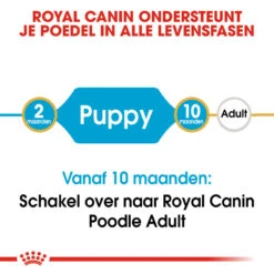 Royal Canin Poodle Puppy - Hondenvoer 17 Royal Canin Poodle Puppy - Hondenvoer -Hondenbenodigdheden royal canin poodle puppy hondenvoer 139732 1000 none