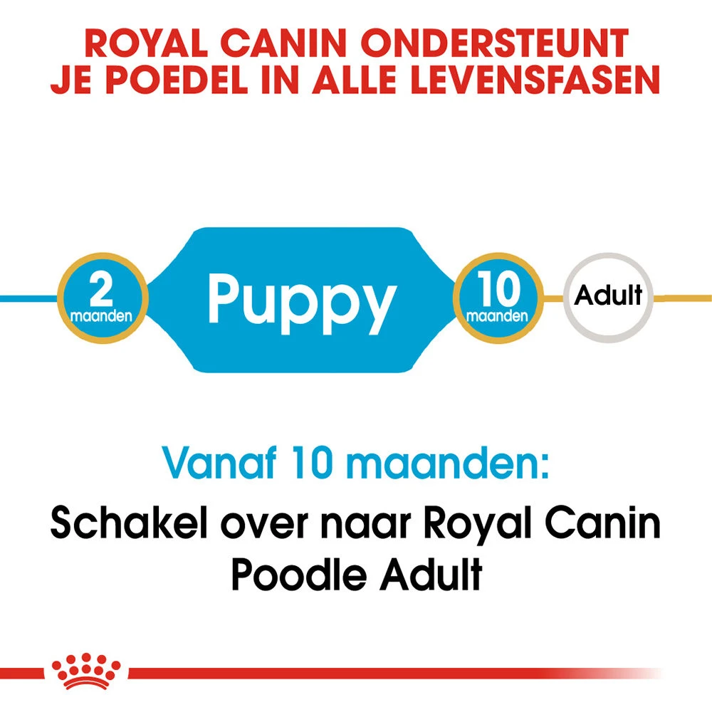 Royal Canin Poodle Puppy - Hondenvoer 8 Royal Canin Poodle Puppy - Hondenvoer - Afbeelding 6
