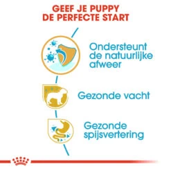 Royal Canin Poodle Puppy - Hondenvoer 14 Royal Canin Poodle Puppy - Hondenvoer -Hondenbenodigdheden royal canin poodle puppy hondenvoer 139750 1000 none