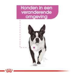 Royal Canin Relax Care Wet - Hondenvoer 15 Royal Canin Relax Care Wet - Hondenvoer -Hondenbenodigdheden royal canin relax care wet hondenvoer 131372 1000 none