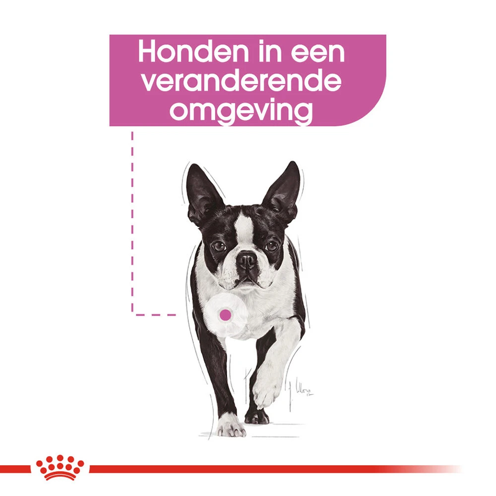 Royal Canin Relax Care Wet - Hondenvoer 6 Royal Canin Relax Care Wet - Hondenvoer - Afbeelding 4