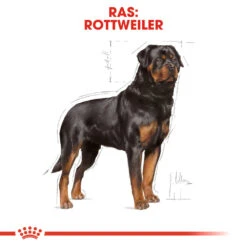 Royal Canin Rottweiler Adult - Hondenvoer 17 Royal Canin Rottweiler Adult - Hondenvoer -Hondenbenodigdheden royal canin rottweiler adult hondenvoer 139942 1000 none