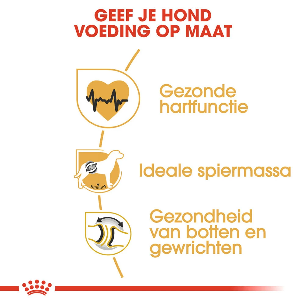 Royal Canin Rottweiler Adult - Hondenvoer 6 Royal Canin Rottweiler Adult - Hondenvoer - Afbeelding 4