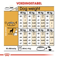 Royal Canin Rottweiler Adult - Hondenvoer 19 Royal Canin Rottweiler Adult - Hondenvoer -Hondenbenodigdheden royal canin rottweiler adult hondenvoer 139978 1000 none