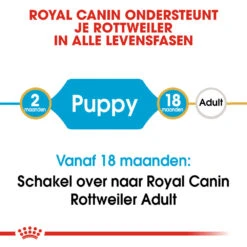 Royal Canin Rottweiler Puppy - Hondenvoer 19 Royal Canin Rottweiler Puppy - Hondenvoer -Hondenbenodigdheden royal canin rottweiler puppy hondenvoer 140008 1000 none