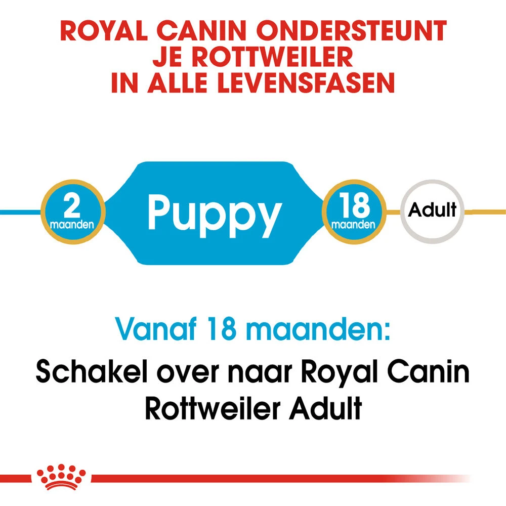 Royal Canin Rottweiler Puppy - Hondenvoer 9 Royal Canin Rottweiler Puppy - Hondenvoer - Afbeelding 7