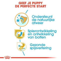Royal Canin Rottweiler Puppy - Hondenvoer 16 Royal Canin Rottweiler Puppy - Hondenvoer -Hondenbenodigdheden royal canin rottweiler puppy hondenvoer 140026 1000 none