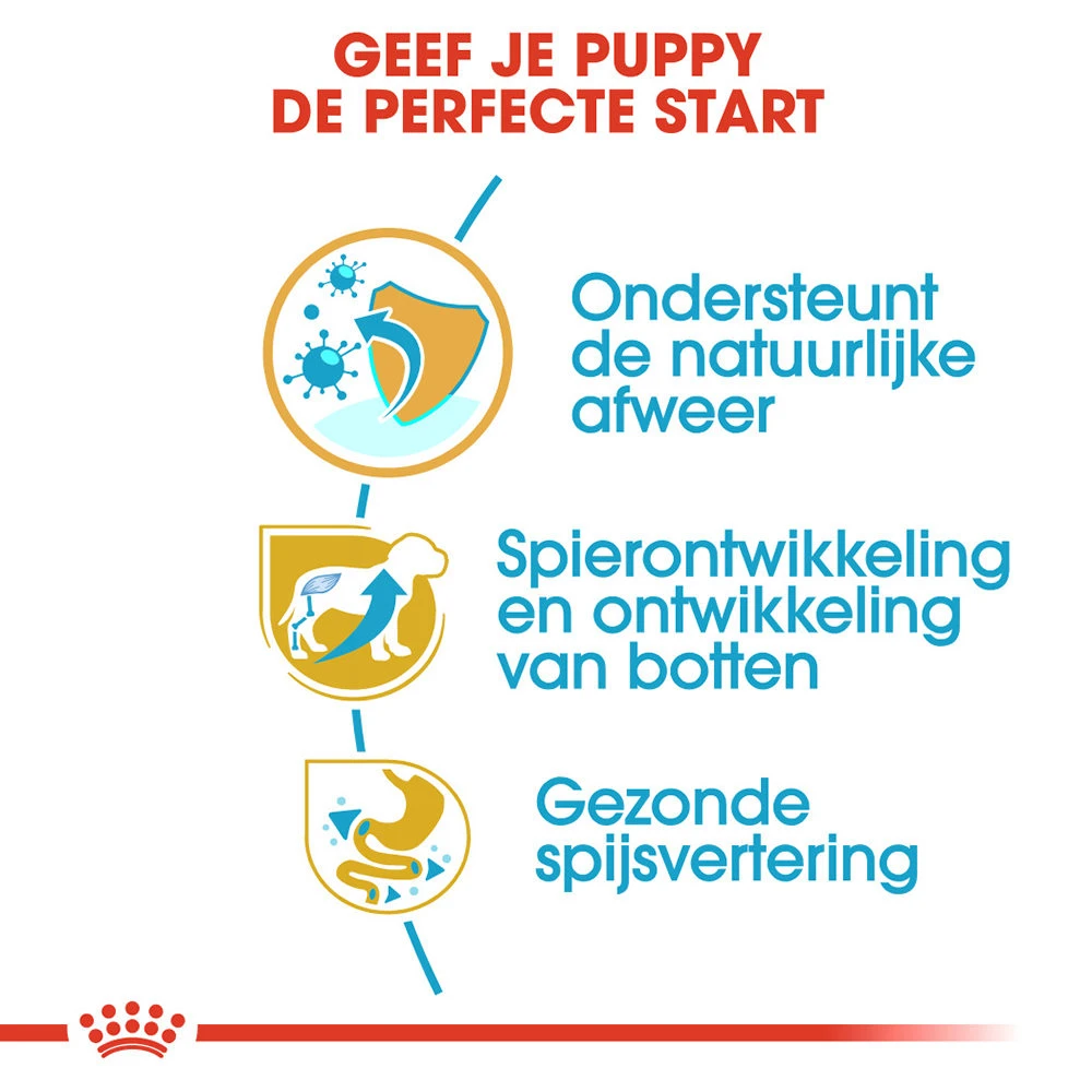 Royal Canin Rottweiler Puppy - Hondenvoer 6 Royal Canin Rottweiler Puppy - Hondenvoer - Afbeelding 4