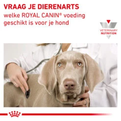 Royal Canin Satiety Kleine Hond 21 Royal Canin Satiety Kleine Hond -Hondenbenodigdheden royal canin satiety kleine hond 156818 2000 none
