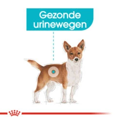 Royal Canin Urinary Care Wet - Hondenvoer -Hondenbenodigdheden royal canin urinary care wet hondenvoer 131930 1000 none