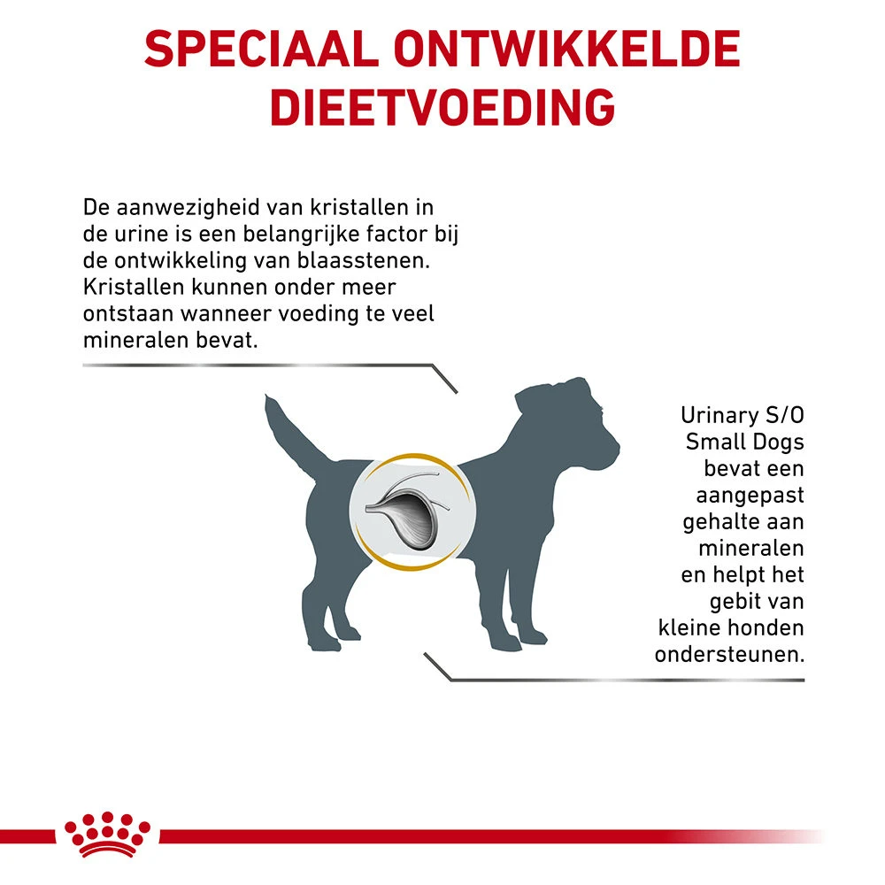 Royal Canin Urinary S/O Small Dog 6 Royal Canin Urinary S/O Small Dog - Afbeelding 4