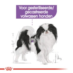 Royal Canin X-Small Sterilised - Hondenvoer 15 Royal Canin X-Small Sterilised - Hondenvoer -Hondenbenodigdheden royal canin x small sterilised hondenvoer 143399 1000 none