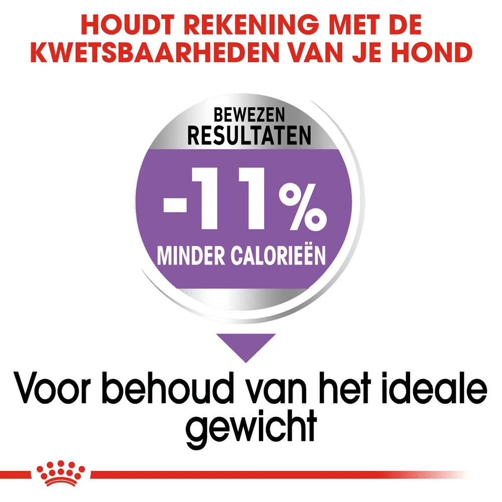 Royal Canin X-Small Sterilised - Hondenvoer 7 Royal Canin X-Small Sterilised - Hondenvoer - Afbeelding 5