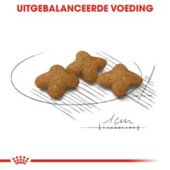 Royal Canin X-Small Sterilised - Hondenvoer 14 Royal Canin X-Small Sterilised - Hondenvoer -Hondenbenodigdheden royal canin x small sterilised hondenvoer 143417 1000 none