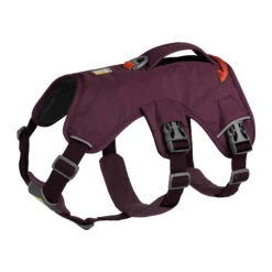Ruffwear Webmaster Harness 36 Ruffwear Webmaster Harness -Hondenbenodigdheden ruffwear web master harness m purple rain 133862 2000 none